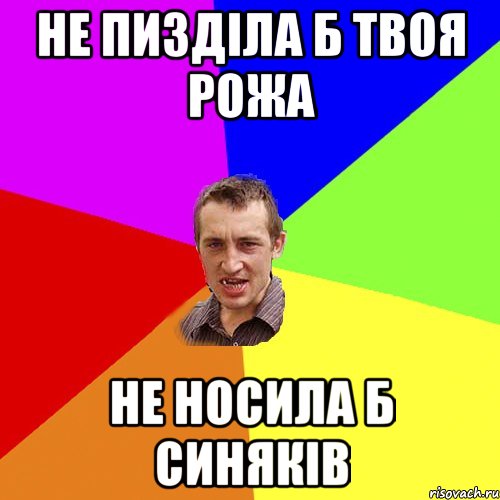 не пизділа б твоя рожа не носила б синяків, Мем Чоткий паца