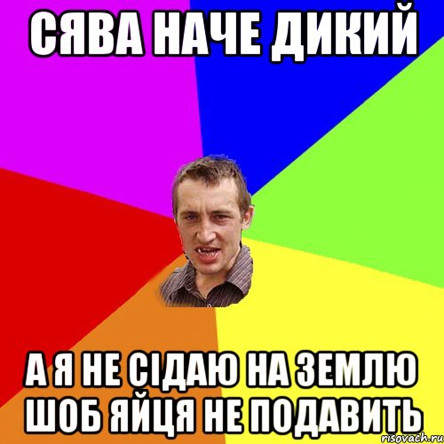 сява наче дикий а я не сідаю на землю шоб яйця не подавить, Мем Чоткий паца