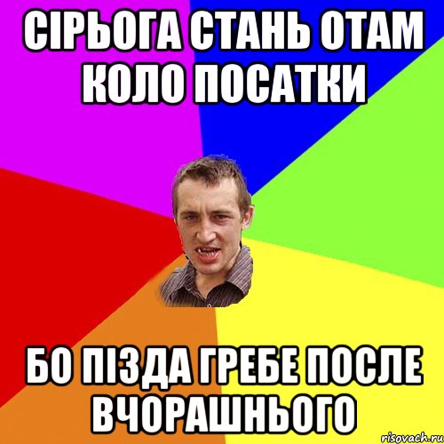 сірьога стань отам коло посатки бо пізда гребе после вчорашнього, Мем Чоткий паца