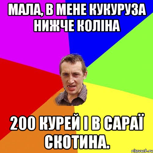 мала, в мене кукуруза нижче коліна 200 курей і в сараї скотина., Мем Чоткий паца