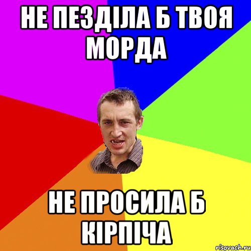 не пезділа б твоя морда не просила б кірпіча, Мем Чоткий паца