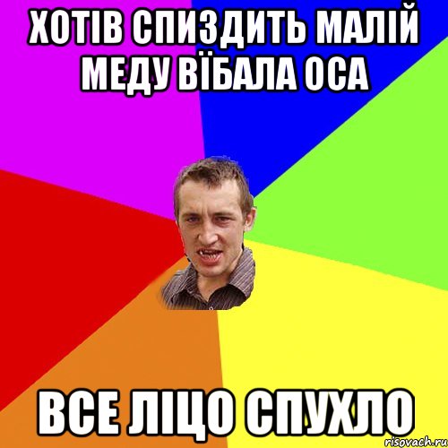 хотів спиздить малій меду вїбала оса все ліцо спухло, Мем Чоткий паца