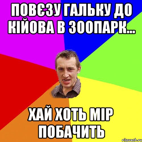 повєзу гальку до кійова в зоопарк... хай хоть мір побачить, Мем Чоткий паца