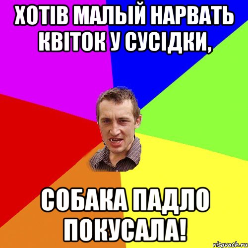 хотів малый нарвать квіток у сусідки, собака падло покусала!, Мем Чоткий паца