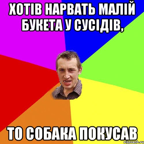 хотів нарвать малій букета у сусідів, то собака покусав, Мем Чоткий паца