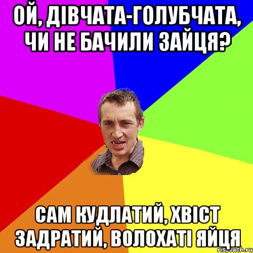 ой, дівчата-голубчата, чи не бачили зайця? сам кудлатий, хвіст задратий, волохаті яйця, Мем Чоткий паца