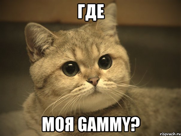 где моя gammy?, Мем Пидрила ебаная котик