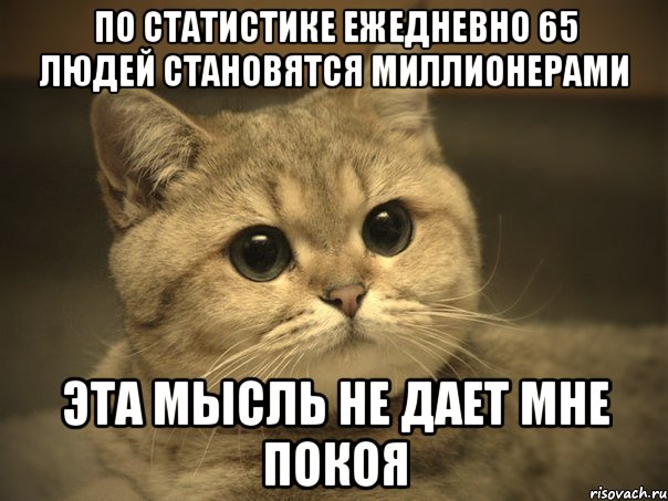 по статистике ежедневно 65 людей становятся миллионерами эта мысль не дает мне покоя, Мем Пидрила ебаная котик