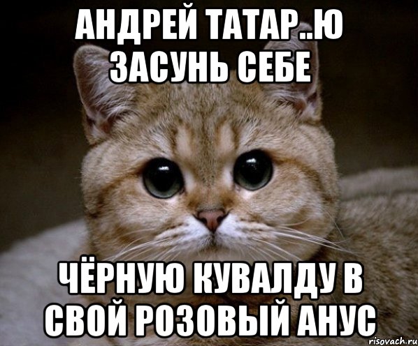 андрей татар..ю засунь себе чёрную кувалду в свой розовый анус, Мем Пидрила Ебаная