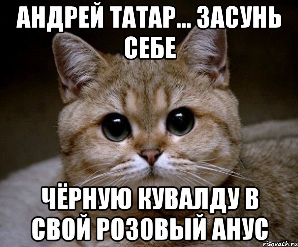 андрей татар... засунь себе чёрную кувалду в свой розовый анус, Мем Пидрила Ебаная