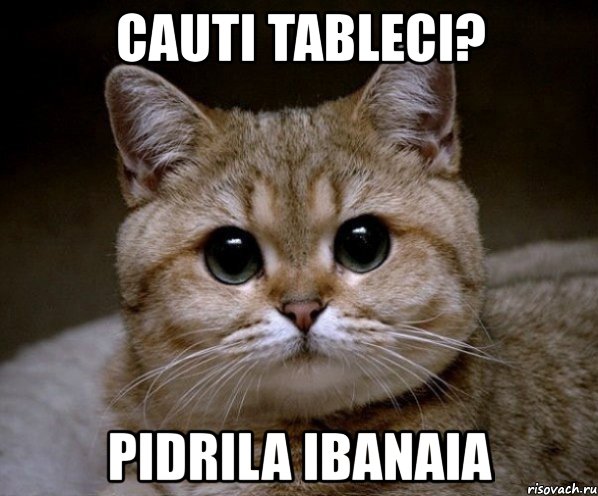 cauti tableci? pidrila ibanaia, Мем Пидрила Ебаная