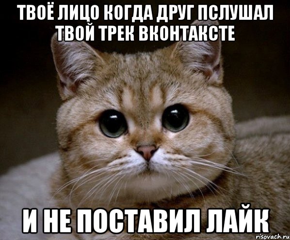 твоё лицо когда друг пслушал твой трек вконтаксте и не поставил лайк, Мем Пидрила Ебаная