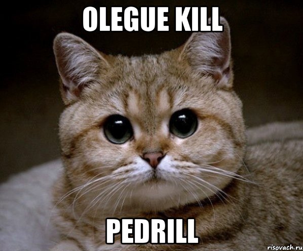 olegue kill pedrill, Мем Пидрила Ебаная