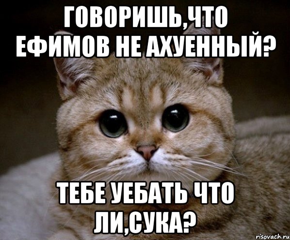 говоришь,что ефимов не ахуенный? тебе уебать что ли,сука?, Мем Пидрила Ебаная