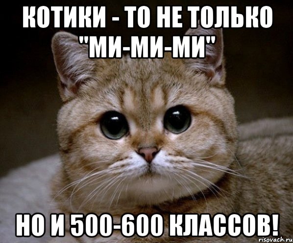 котики - то не только "ми-ми-ми" но и 500-600 классов!, Мем Пидрила Ебаная