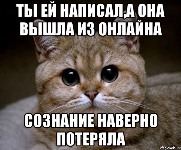 ты ей написал,а она вышла из онлайна сознание наверно потеряла, Мем Пидрила Ебаная