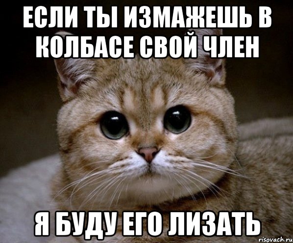 если ты измажешь в колбасе свой член я буду его лизать, Мем Пидрила Ебаная