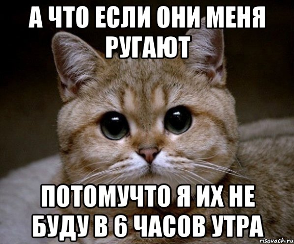 а что если они меня ругают потомучто я их не буду в 6 часов утра, Мем Пидрила Ебаная