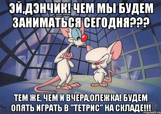 эй,дэнчик! чем мы будем заниматься сегодня??? тем же, чем и вчера,олежка! будем опять играть в "тетрис" на складе!!!, Мем ПИНКИ И БРЕЙН