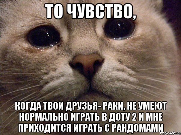 то чувство, когда твои друзья- раки, не умеют нормально играть в доту 2 и мне приходится играть с рандомами, Мем   В мире грустит один котик