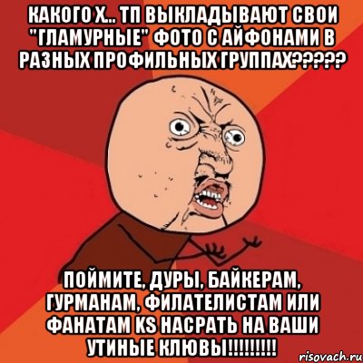 какого х... тп выкладывают свои "гламурные" фото с айфонами в разных профильных группах??? поймите, дуры, байкерам, гурманам, филателистам или фанатам ks насрать на ваши утиные клювы!!!, Мем Почему