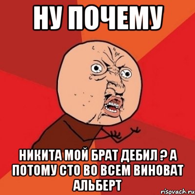 ну почему никита мой брат дебил ? а потому сто во всем виноват альберт, Мем Почему