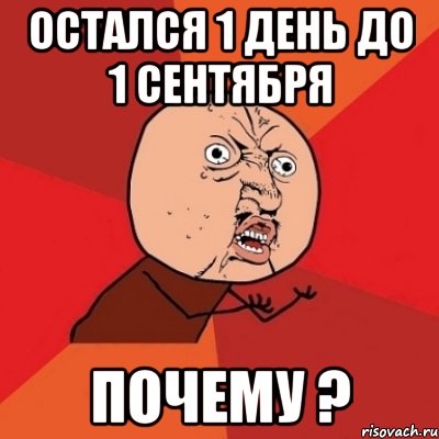 остался 1 день до 1 сентября почему ?, Мем Почему