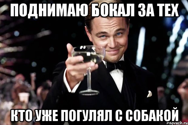 поднимаю бокал за тех кто уже погулял с собакой, Мем Великий Гэтсби (бокал за тех)