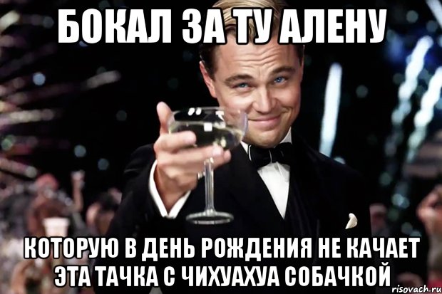 бокал за ту алену которую в день рождения не качает эта тачка с чихуахуа собачкой, Мем Великий Гэтсби (бокал за тех)