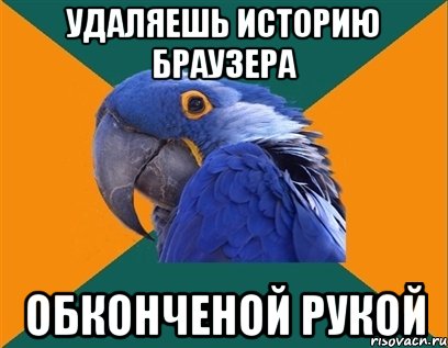 удаляешь историю браузера обконченой рукой, Мем Попугай параноик