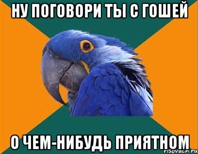 ну поговори ты с гошей о чем-нибудь приятном, Мем Попугай параноик