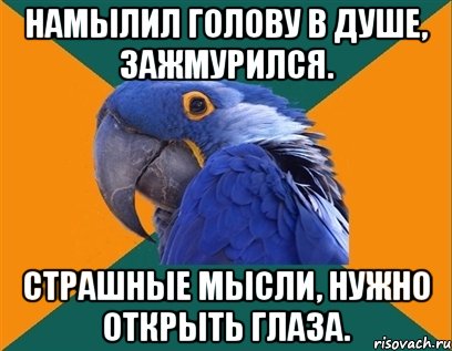 намылил голову в душе, зажмурился. страшные мысли, нужно открыть глаза., Мем Попугай параноик