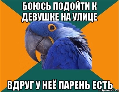 боюсь подойти к девушке на улице вдруг у неё парень есть, Мем Попугай параноик