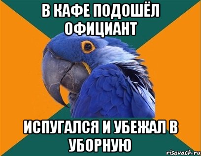 в кафе подошёл официант испугался и убежал в уборную, Мем Попугай параноик