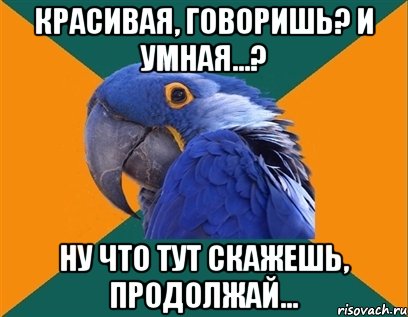 красивая, говоришь? и умная...? ну что тут скажешь, продолжай..., Мем Попугай параноик