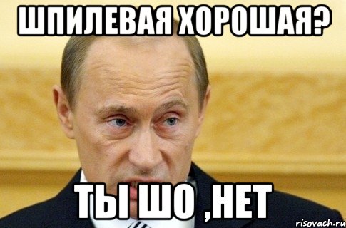 шпилевая хорошая? ты шо ,нет, Мем путин