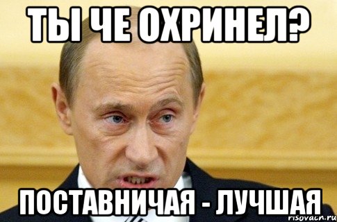 ты че охринел? поставничая - лучшая, Мем путин