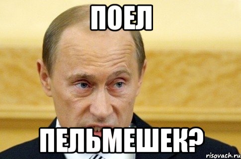 поел пельмешек?, Мем путин