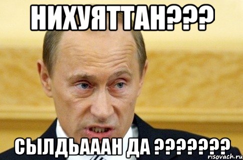 нихуяттан??? сылдьааан да ???, Мем путин