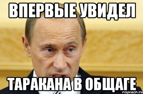 впервые увидел таракана в общаге, Мем путин