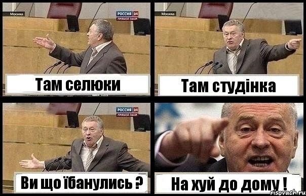 Там селюки Там студінка Ви що їбанулись ? На хуй до дому !, Комикс с Жириновским