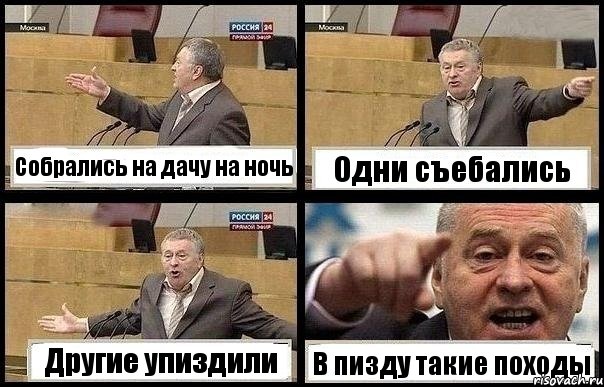 Собрались на дачу на ночь Одни съебались Другие упиздили В пизду такие походы, Комикс с Жириновским