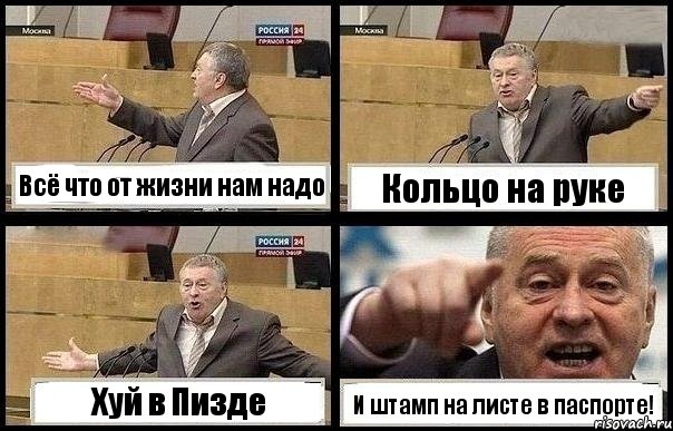 Всё что от жизни нам надо Кольцо на руке Хуй в Пизде И штамп на листе в паспорте!, Комикс с Жириновским