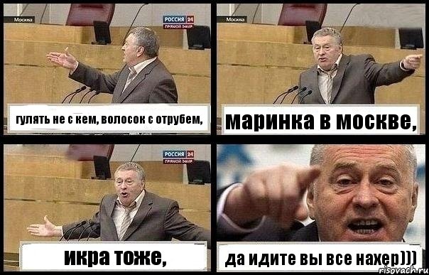 гулять не с кем, волосок с отрубем, маринка в москве, икра тоже, да идите вы все нахер))), Комикс с Жириновским