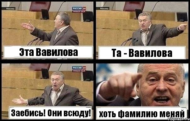 Эта Вавилова Та - Вавилова Заебись! Они всюду! хоть фамилию меняй, Комикс с Жириновским