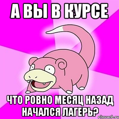 а вы в курсе что ровно месяц назад начался лагерь?, Мем слоупок