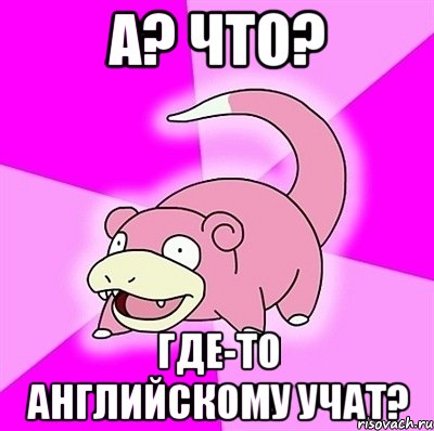 а? что? где-то английскому учат?, Мем слоупок