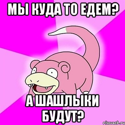 мы куда то едем? а шашлыки будут?, Мем слоупок