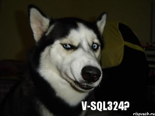 V-SQL324?, Комикс  Собака подозревака