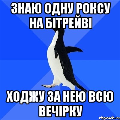 знаю одну роксу на бітрейві ходжу за нею всю вечірку, Мем  Социально-неуклюжий пингвин